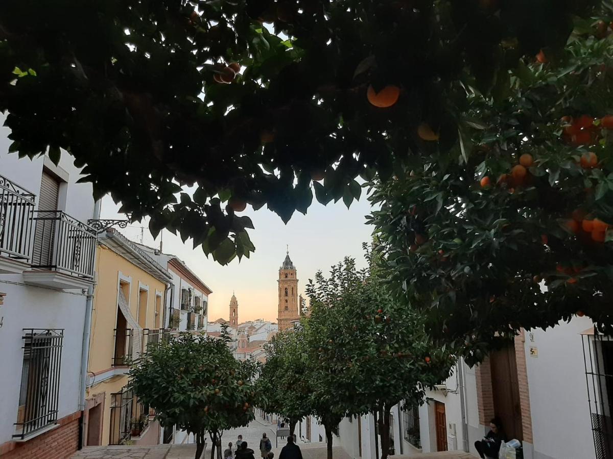 Apartamento Turistico La Vega 안테케라 외부 사진